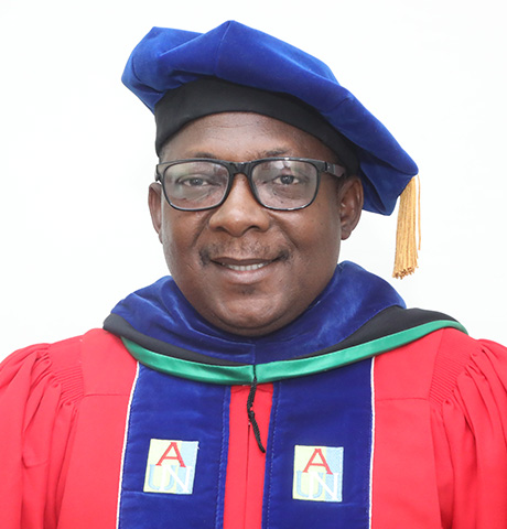 Adewale Adeyemi JAMES