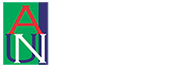 American University of Nigeria